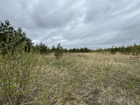 derevnya-nepecino-bogorodskiy-municipalnyy-okrug фото