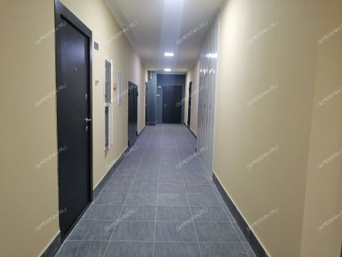 2-komnatnaya-ul-rodionova-d-31 фото