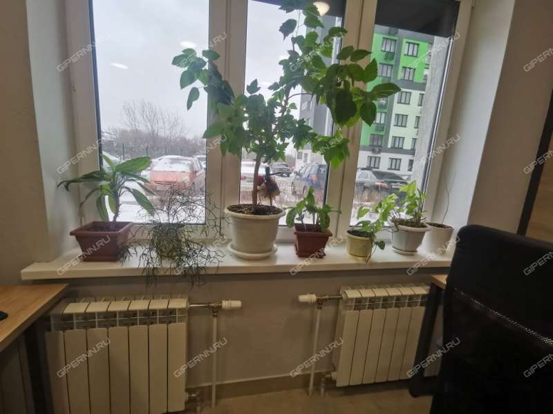 помещение под офис на улице Родионова