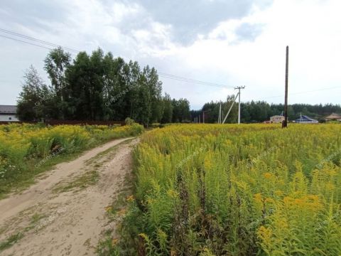 derevnya-pionerskoe-gorodskoy-okrug-bor фото