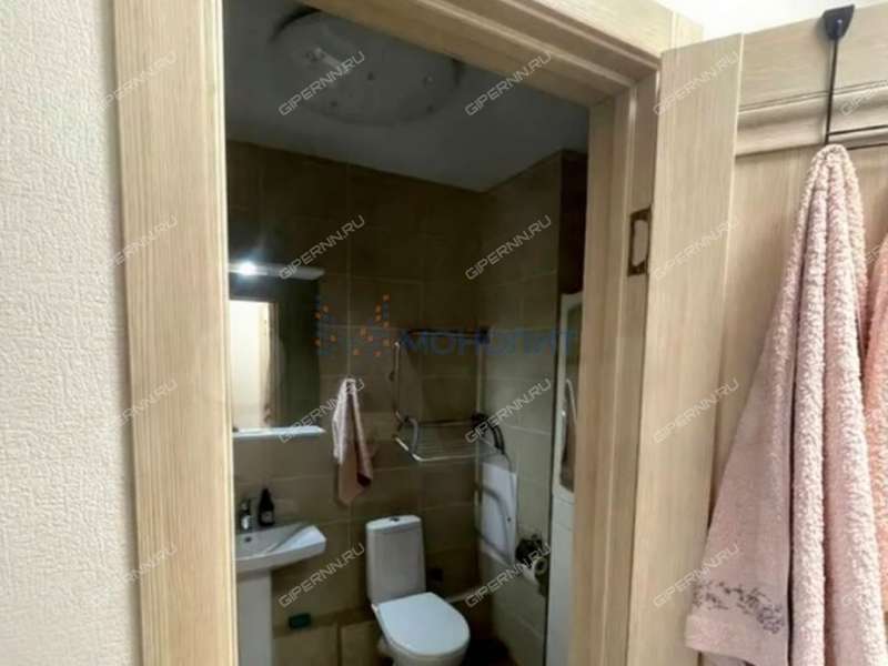 однокомнатная квартира на Русской улице улице дом 18 деревня Анкудиновка