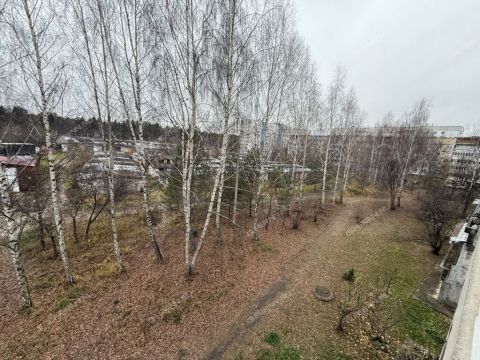 1-komnatnaya-gorod-zavolzhe-gorodeckiy-rayon фото