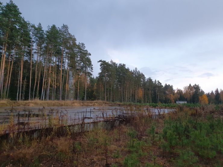 Фото: Ксения Ражева