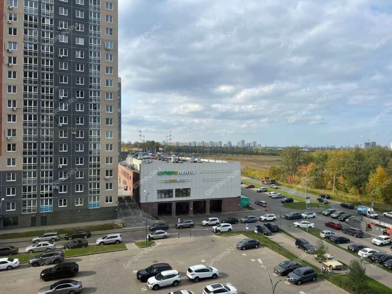 двухкомнатная квартира на Русской улице улице дом 9 деревня Анкудиновка