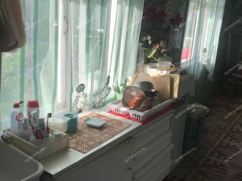 dacha-derevnya-temryashino-gorodskoy-okrug-bor фото