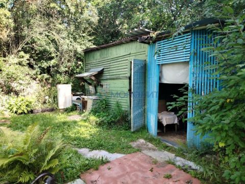 dacha-snt-sokol-sad-n3-snt-sokol-n3 фото