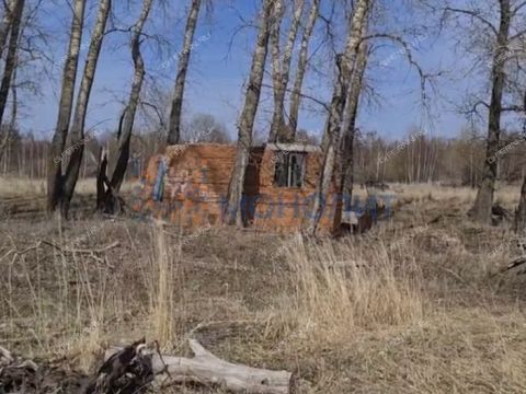 makarevo-sp-lyskovskiy-municipalnyy-okrug фото