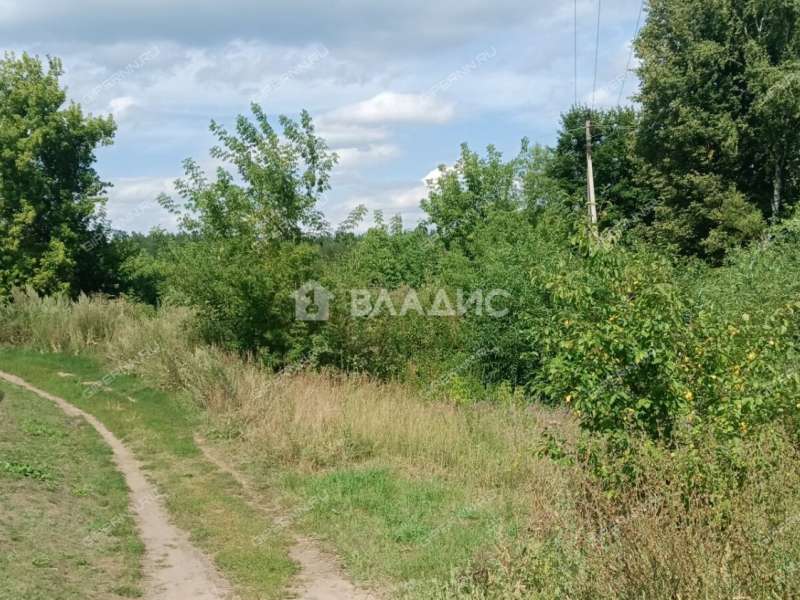 земельный участок 22 сотки Забайкальская улица рабочий посёлок Шатки