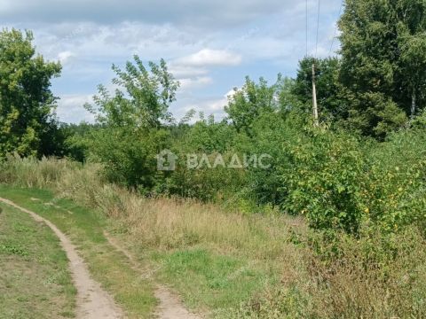 rabochiy-poselok-shatki-shatkovskiy-rayon фото