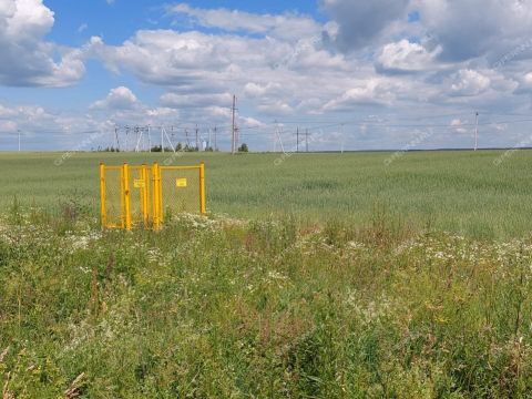 derevnya-kileley-bogorodskiy-municipalnyy-okrug фото