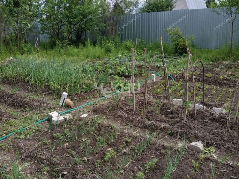 дача на СДТ Колобок сад город Бор