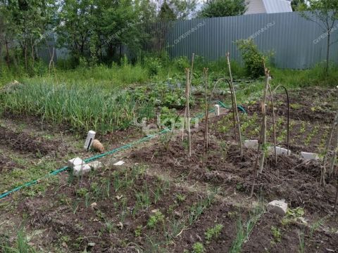 dacha-gorod-bor-gorodskoy-okrug-bor фото