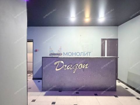 ul-chkalova-d-17 фото