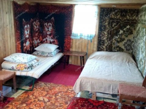 selo-kantaurovo-gorodskoy-okrug-bor фото
