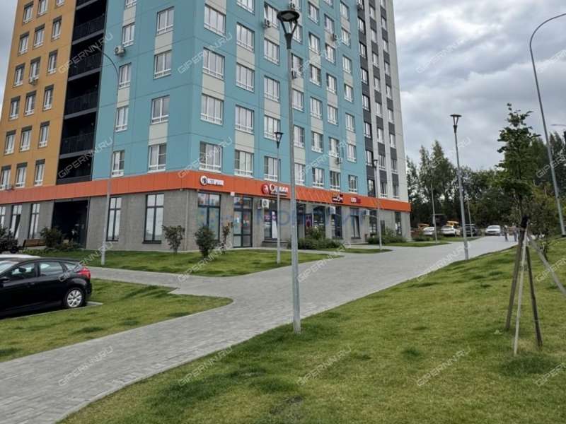двухкомнатная квартира на Черкесской улице дом 17 деревня Анкудиновка