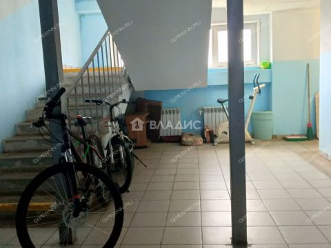 1-komnatnaya-derevnya-berezovka-bogorodskiy-municipalnyy-okrug фото