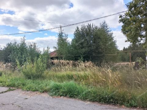 derevnya-tamboles-gorodskoy-okrug-vyksa фото