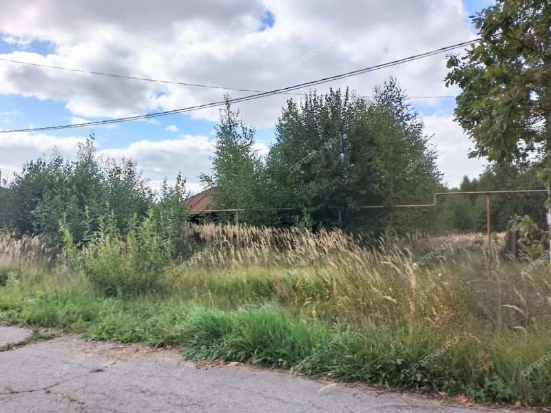 земельный участок 16 соток улица Ленина деревня Тамболес