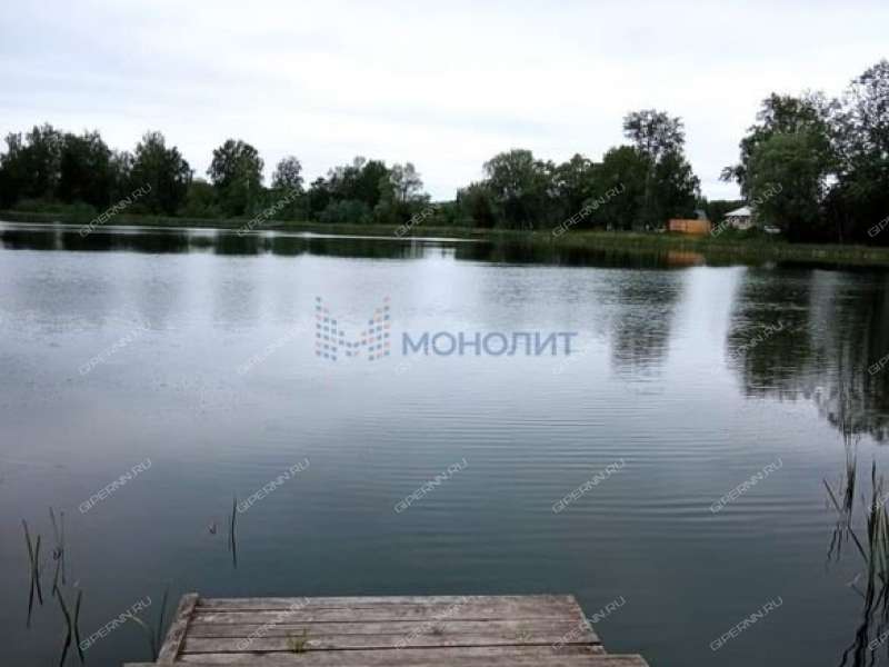 земельный участок 48,51 сотки улица 40 лет Победы деревня Пияичное