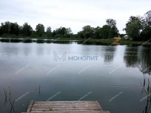 dom-derevnya-piyaichnoe-sosnovskiy-rayon фото