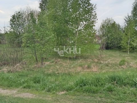 dacha-derevnya-mokeiha-gorodeckiy-rayon фото