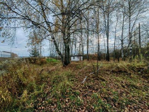 derevnya-zolotovo-gorodskoy-okrug-bor фото