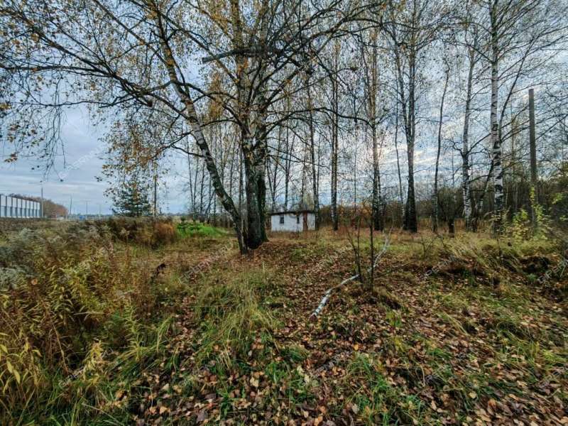 земельный участок 11 соток деревня Золотово