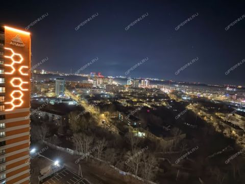 1-komnatnaya-sh-komsomolskoe-d-11 фото