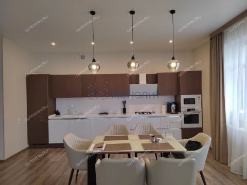 taunhaus-sl-verhnepecherskaya-d-118-1 фото