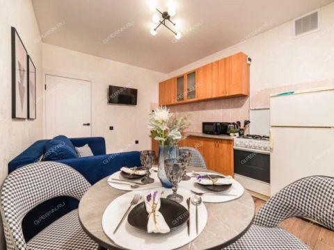 1-komnatnaya-sh-moskovskoe-d-17-k1 фото