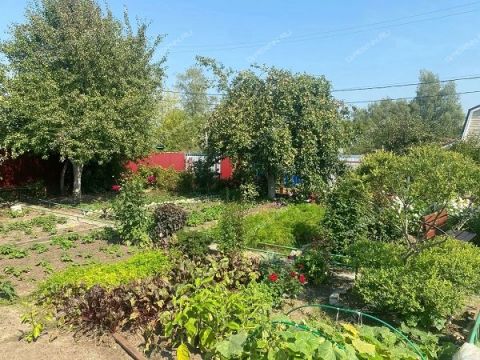 dacha-ul-strokina фото