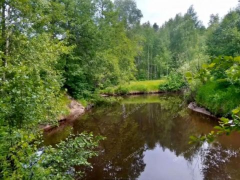 poselok-pri-stancii-tarasiha-semenovskiy-gorodskoy-okrug фото