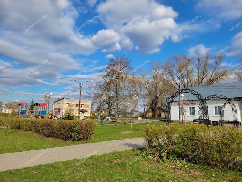 дом на Центральной улице село Абабково