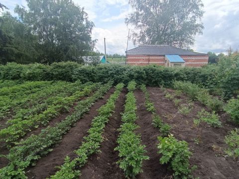 dom-selo-yagubovka-buturlinskiy-municipalnyy-okrug фото