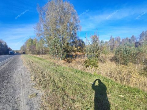 derevnya-lyapuniha-balahninskiy-municipalnyy-okrug фото