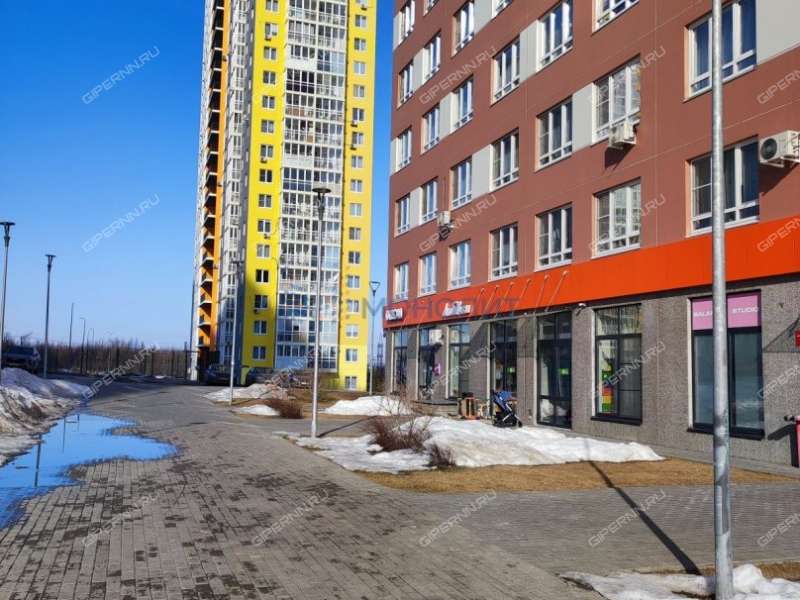 однокомнатная квартира на Черкесской улице дом 19 деревня Анкудиновка