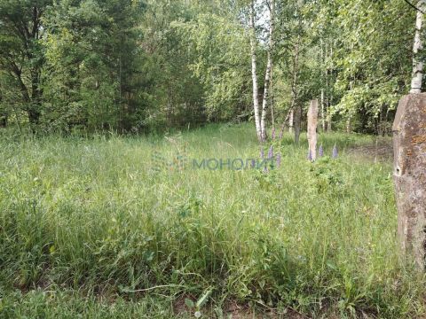 derevnya-chapurda-bogorodskiy-municipalnyy-okrug фото
