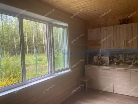dacha-selo-kamenki-bogorodskiy-municipalnyy-okrug фото