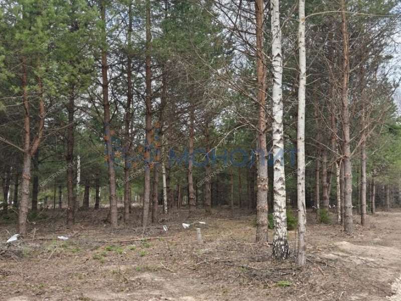 земельный участок 16 соток Ореховая улица Ивановское слобода