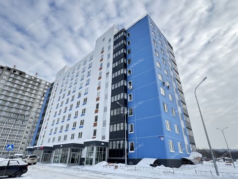 ulica-borisa-vidyaeva-7 фото