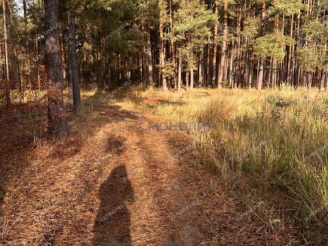 rabochiy-poselok-bolshoe-kozino-balahninskiy-municipalnyy-okrug фото