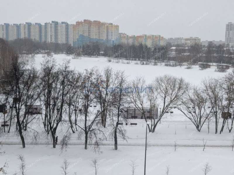 трёхкомнатная квартира на Молодёжном проспекте дом 38