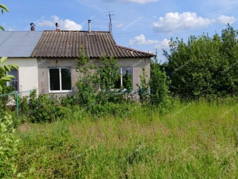 3-komnatnaya-selo-vypolzovo-shatkovskiy-rayon фото