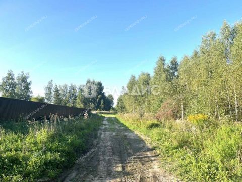 selskiy-poselok-gavrilovka-gorodskoy-okrug-dzerzhinsk фото