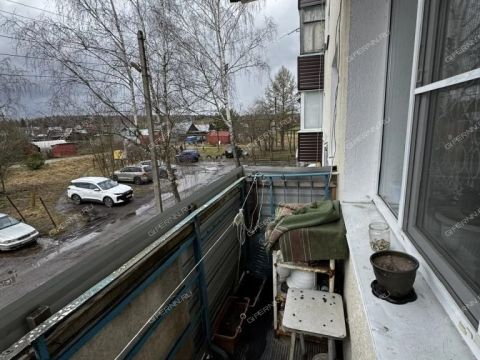2-komnatnaya-selo-linda-gorodskoy-okrug-bor фото