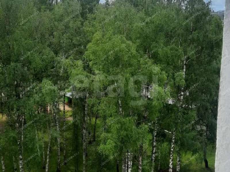 двухкомнатная квартира на Анкудиновском шоссе дом 11б