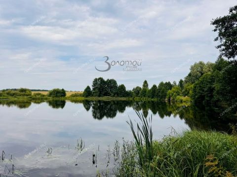 selo-pureh-gorodskoy-okrug-chkalovsk фото