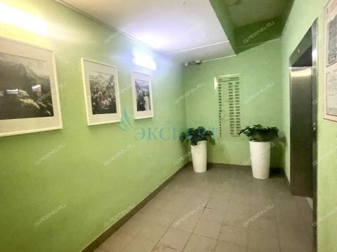 1-komnatnaya-derevnya-afonino-kstovskiy-rayon фото