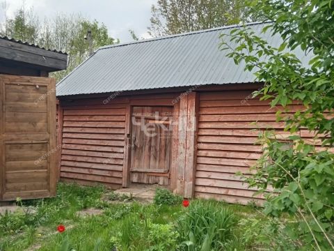 dacha-derevnya-mokeiha-gorodeckiy-rayon фото