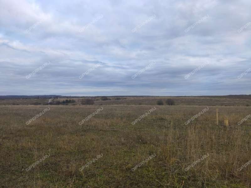 земельный участок 363 сотки Южная улица село Свобода